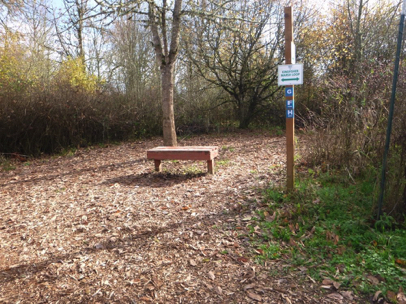 Wooden bench – natural surface and bark chips – sign “Kingfisher Marsh Loop”